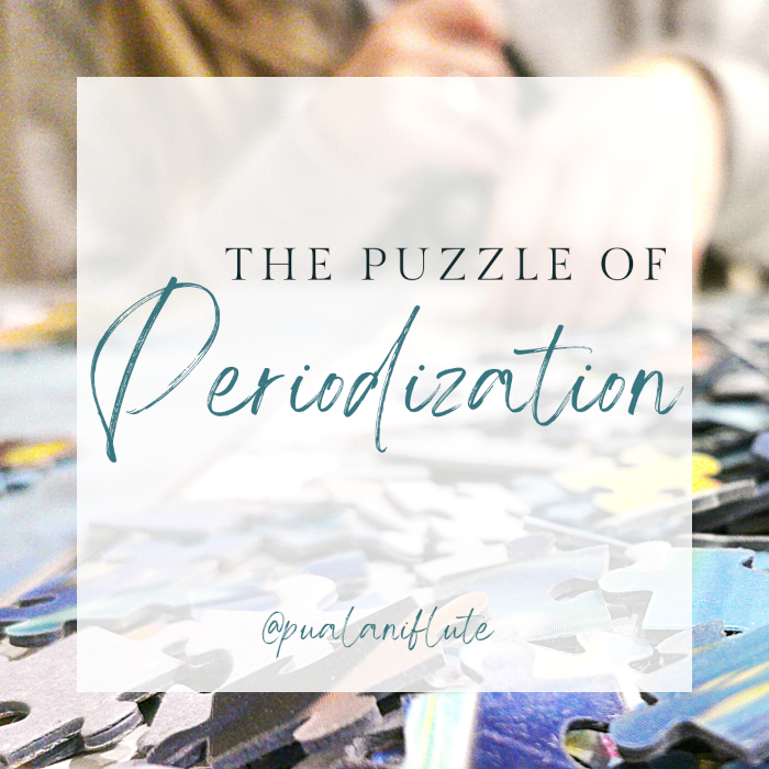 A woman in a gray sweater assembles a blue puzzle. Blue text on a white label reads, "The Puzzle of Periodization."
