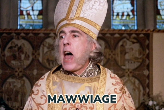 Meme of the Archdean of Florin from the movie "The Princess Bride" saying "mawwiage" during the  wedding ceremony between Buttercup and Prince Humperdinck.